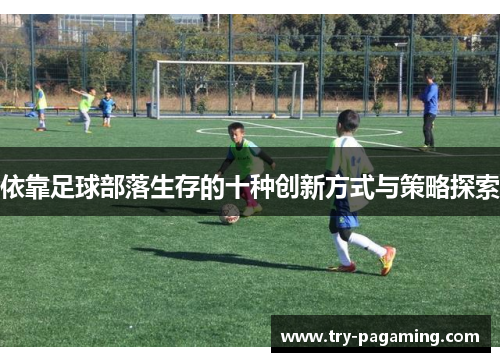 依靠足球部落生存的十种创新方式与策略探索
