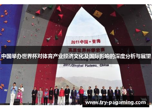 中国举办世界杯对体育产业经济文化及国际影响的深度分析与展望