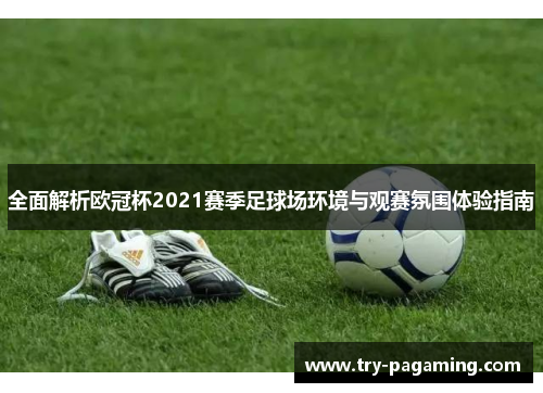 全面解析欧冠杯2021赛季足球场环境与观赛氛围体验指南