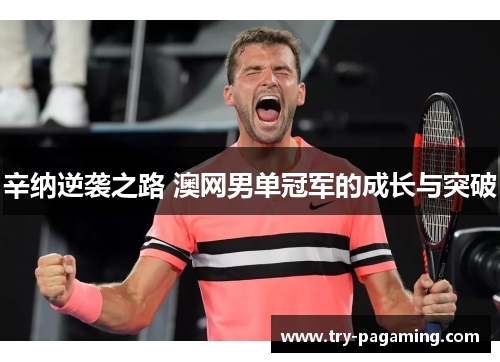 辛纳逆袭之路 澳网男单冠军的成长与突破