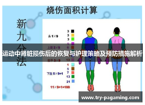 运动中肾脏损伤后的恢复与护理策略及预防措施解析