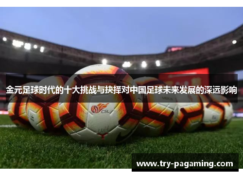 金元足球时代的十大挑战与抉择对中国足球未来发展的深远影响