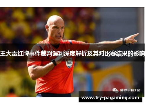 王大雷红牌事件裁判误判深度解析及其对比赛结果的影响