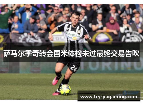 萨马尔季奇转会国米体检未过最终交易告吹