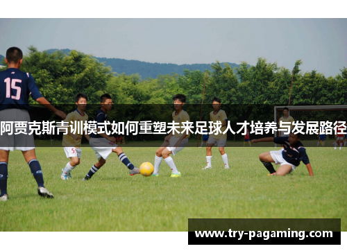 阿贾克斯青训模式如何重塑未来足球人才培养与发展路径